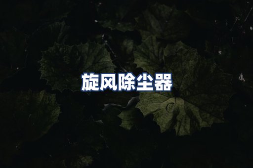 旋风除尘器